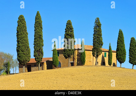 Podere im Herbst - Podere à l'automne 23 Banque D'Images