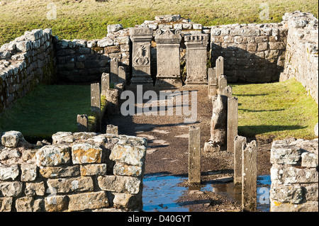 Le Temple Romain de Mithra avec des répliques à Brocolitia Autels de Pierre Mur d'Hadrien près de Lechlade Northumberland England Banque D'Images