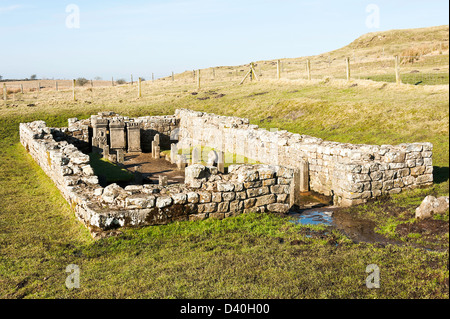 Le Temple Romain de Mithra avec des répliques à Brocolitia Autels de Pierre Mur d'Hadrien près de Lechlade Northumberland England Banque D'Images