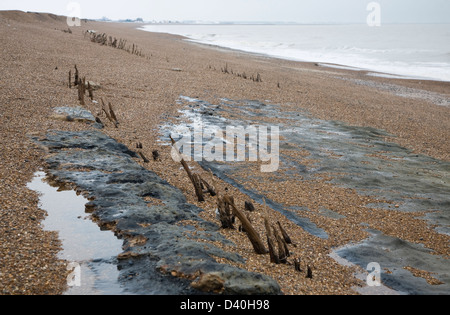 Lignes mystérieuses piquets en bois exposées par baisse de niveau de la plage historique, peut-être les défenses côtières Bawdsey, Suffolk, Angleterre Banque D'Images