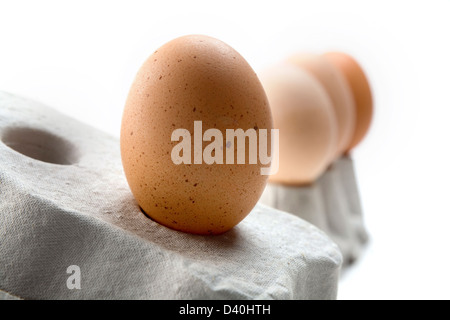 Rangée d'oeufs de poules différentes nuances/couleurs équilibrées sur les boîtes d'œufs gris contre fond blanc Banque D'Images