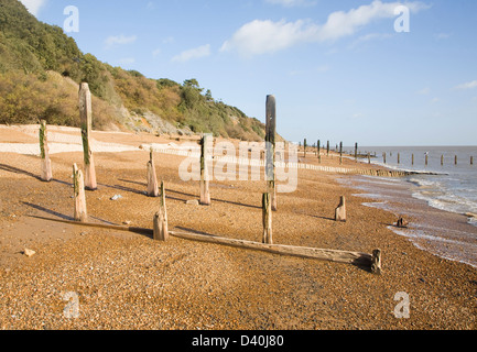 Vieux bois épis abandonnés et sur galets, Bawdsey, Suffolk, Angleterre Banque D'Images