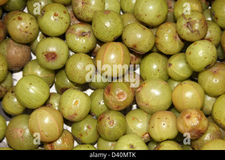 Groseilles indiennes pour la vente au marché de Nuwara Eliya, Sri Lanka Banque D'Images