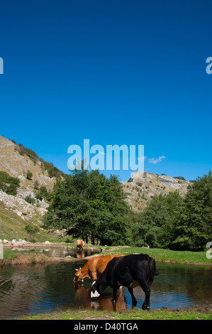 Lacs de montagne Matanna, Bozzone (Monte Matanna), Alpes Apuanes (Alpes Apuanes), la province de Lucques, Toscane, Italie Banque D'Images