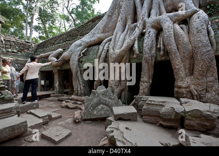 Strangler racines. Ta Prohm temple. Angkor. Cambodge Banque D'Images