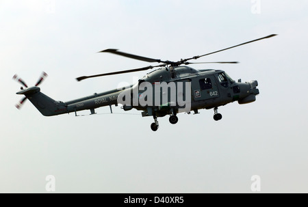 Un hélicoptère Westland Lynx (XZ642), une partie de la Royal Naval Black Cats Duo Lynx sur l'affichage à l'Air Show de Biggin Hill Banque D'Images