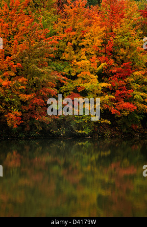 Paysage d'automne coloré étang de Pt lac reflet d'arbres d'automne colorés dans le Vermont, Nouvelle-Angleterre États-Unis feuilles d'automne couleurs enchantées pt Banque D'Images