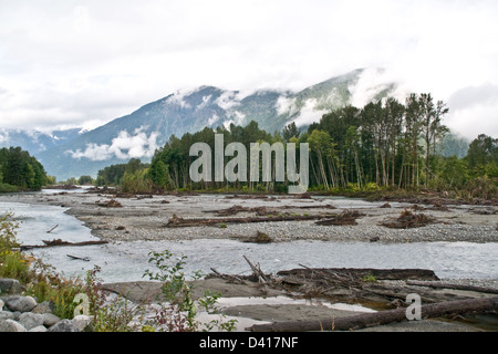 Le Misty Mountain Wilderness de la forêt du Grand Ours, le long des berges de la rivière Bella Coola, à Bella Coola, Canada. Banque D'Images