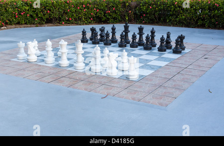 Grandes pièces blanc et noir dans le jeu d'échecs en plein air dans le jardin de fleurs Banque D'Images