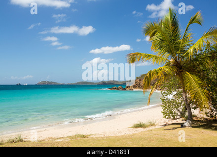 Scène de plage sur l'île de Saint Thomas dans les îles Vierges américaines ILES VIERGES AMÉRICAINES avec palmier Banque D'Images