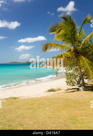 Scène de plage verticale sur l'île de Saint Thomas dans les îles Vierges américaines ILES VIERGES AMÉRICAINES Banque D'Images