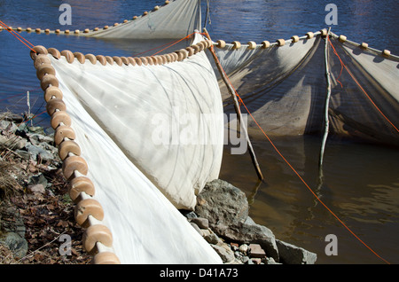 Net des civelles sur l'Union européenne River dans Ellsworth, Maine. Banque D'Images