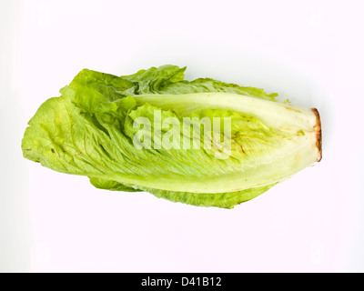 Salade de cos frais isolé sur fond blanc Banque D'Images