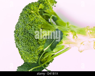 Le brocoli frais, Brassica oleracea var. italica, isolé sur fond blanc Banque D'Images