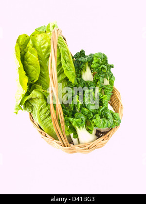 Des petits bok choy et cos salade en rotin panier isolé sur fond blanc Banque D'Images