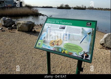 Réserve naturelle d'Attenborough Royaume-Uni Angleterre Nottingham Banque D'Images