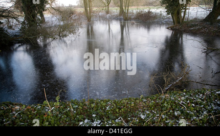 La formation de glace sur la surface de l'étang par temps froid l'hiver, Sutton, Suffolk, Angleterre Banque D'Images