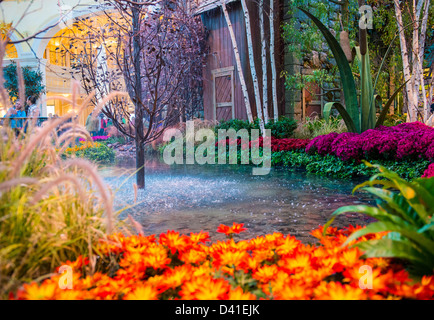 Saison d'automne en véranda de l'hôtel Bellagio & Botanical Gardens Banque D'Images