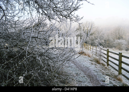 L'hiver dans la campagne. Banque D'Images