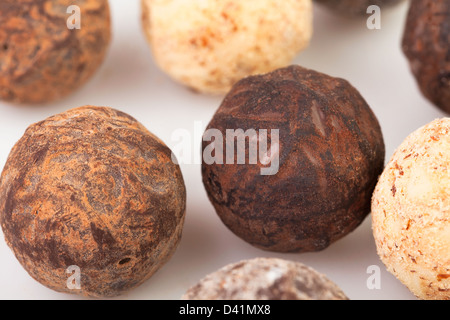 Mélange de truffe gros plan plein cadre Banque D'Images