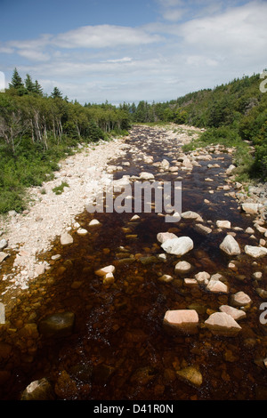 La vallée du fleuve Mackenzie sur la Piste Cabot, Cap-Breton, Nouvelle-Écosse Banque D'Images