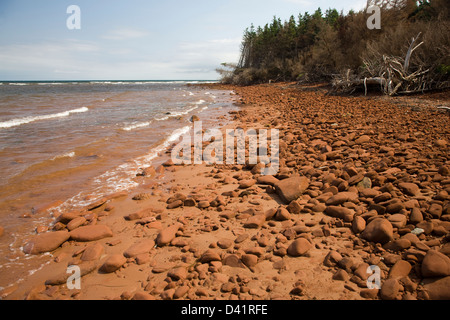 La plage de l'île Robinson sur l'ouest de l'extrême de la Prince Edward Island National Park Banque D'Images