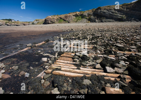 Vestiges de quais en bois et les jetées de l'industrie minière du charbon sur la plage à les falaises fossilifères de Joggins Banque D'Images