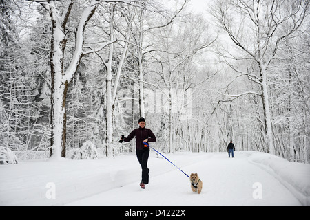 Femme en marche avec son chien, la neige a couvert le Mont Royal Park en hiver, Parc du Mont Royal, Montréal, Québec, Canada Banque D'Images