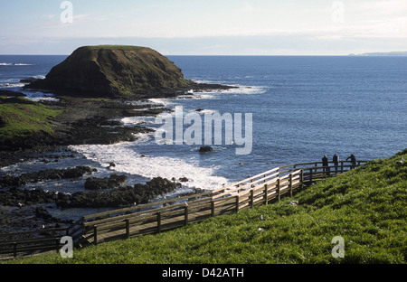 Vue depuis la promenade Nobbies Philip Island Australie Victoria Banque D'Images