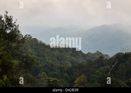 Morning Mist couvrir la montagne , Wianghaeng Doi Dam en Thaïlande Banque D'Images