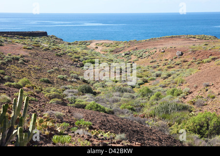 Paysage volcanique à Costa Adeje à Tenerife, Îles Canaries, Espagne. Banque D'Images