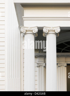 Détail de la colonne ionique Banque D'Images