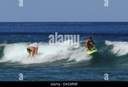 Surfer la vague d'équitation Hawaii Big Island Pacific ocean surf surf Banque D'Images