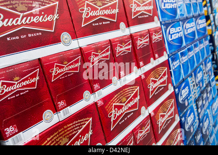 Budweiser et Bud Light beer sur l'affichage à un entrepôt Costco Wholesale Club. Banque D'Images