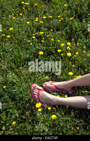 Bischoffingen, Allemagne, Frauenfuesse dans l'herbe Banque D'Images