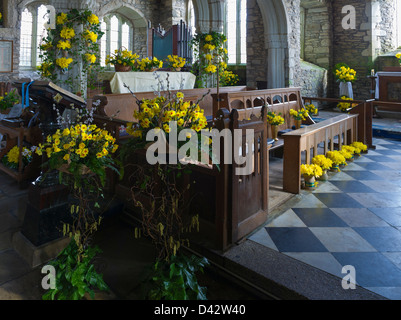 La Fête des Jonquilles à St Mawgan-en-Meneage Church à Cornwall. Banque D'Images