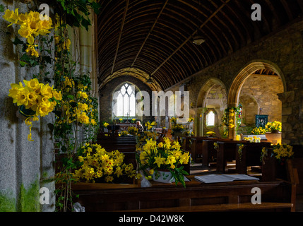 La Fête des Jonquilles à St Mawgan-en-Meneage Church à Cornwall. Banque D'Images