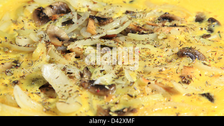Omelette aux champignons et l'Oignon Banque D'Images