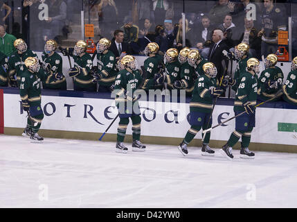 2 mars 2013 - South Bend, Indiana, États-Unis d'Amérique - Mars 02, 2013 : Notre Dame les joueurs célèbrent but pendant le match de hockey NCAA entre l'action de Notre Dame Fighting Irish et les Falcons de Bowling Green à Compton Famille Ice Arena à South Bend, Indiana. Notre Dame défait Bowling Green 4-1. Banque D'Images