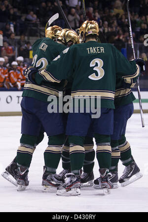 2 mars 2013 - South Bend, Indiana, États-Unis d'Amérique - Mars 02, 2013 : Notre Dame les joueurs célèbrent but pendant le match de hockey NCAA entre l'action de Notre Dame Fighting Irish et les Falcons de Bowling Green à Compton Famille Ice Arena à South Bend, Indiana. Notre Dame défait Bowling Green 4-1. Banque D'Images