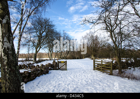 Ouvrir la porte dans un paysage d'hiver avec la neige, murs de pierre et d'arbres, Banque D'Images