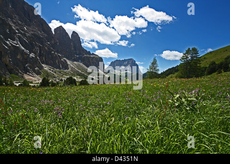 Montagne Val Badia, Gadertal, Alto Adige, Italie, Nature Banque D'Images