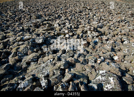 Glissement sur un éboulis de rochers côté montagne écossaise. 8977 SCO Banque D'Images