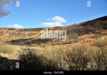 Partie du paysage sur le North Yorkshire Moors. Banque D'Images