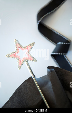 La baguette qui souhaitent Banque D'Images