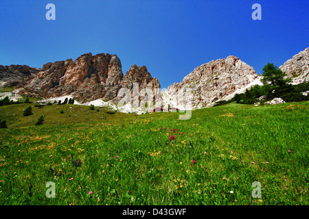 Montagne Val Badia, Gadertal, Alto Adige, Italie, Nature Banque D'Images