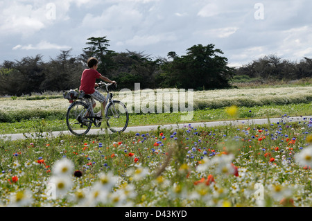 Boy Riding Bicycle, Ile de Re, France Banque D'Images