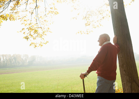 Man Standing canne par arbre, Lampertheim, Hesse, Allemagne Banque D'Images