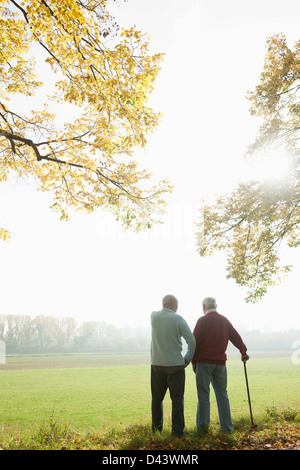 Vue arrière des hauts hommes debout par champ à l'automne, Lampertheim, Hesse, Allemagne Banque D'Images