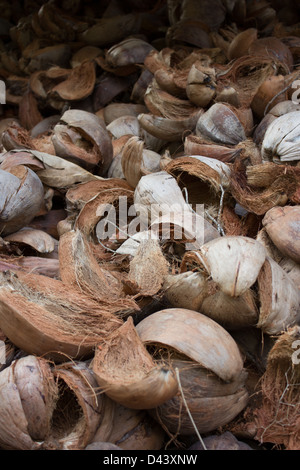 Beaucoup de coco engrais naturel à recycler Banque D'Images